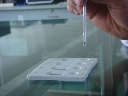Fatty acid Testing Services