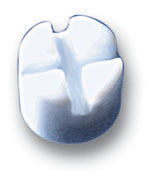 सेल स्पिन राउंड