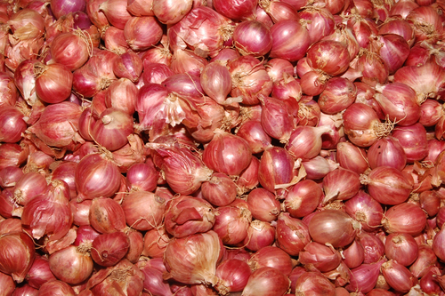 छोटी प्याज़