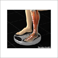 Circulation Booster