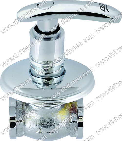 लीवर छुपा लंड