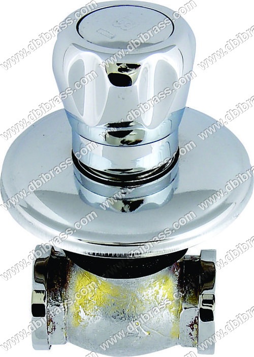 छुपा मुर्गा के साथ निकला हुआ किनारा