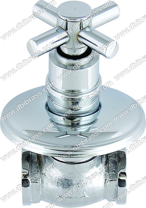 छुपा मुर्गा के साथ निकला हुआ किनारा