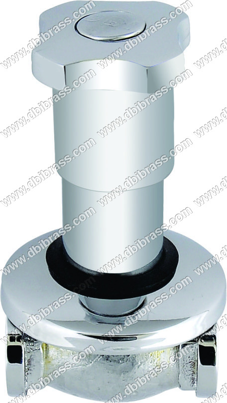 छुपा मुर्गा के साथ निकला हुआ किनारा