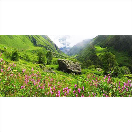 फूलों की घाटी की ट्रेक