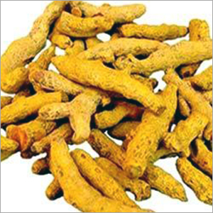 हल्दी की अंगुली