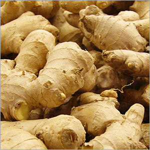 Dry Ginger