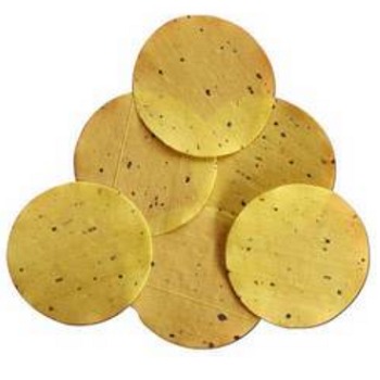 Indian Papad