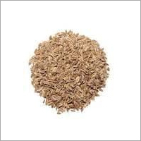 Dill Seeds - Organic Non-GMO , Ideal for Culinary Use and Home Gardening