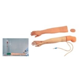 Multi-Functional Adult IV Training Arm Model - Plastic Material, Skin Color | 8 Vena Simulation for Injection, Infusion, and Phlebotomization Training