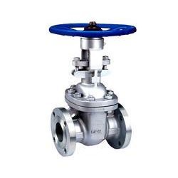 Gate Valves - Stainless Steel, 300-500 Weight | Festo Type, Silver, Water Media