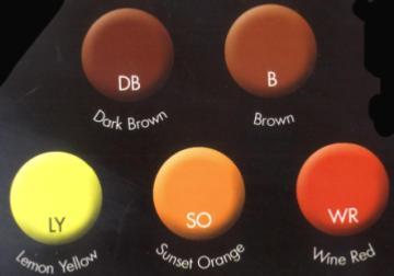 मानव बाल