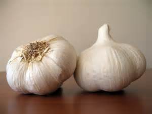 Garlic