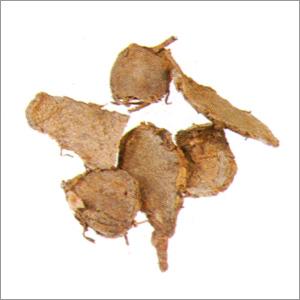 कपूर- कच्छरी