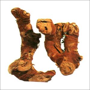 कुलंजन