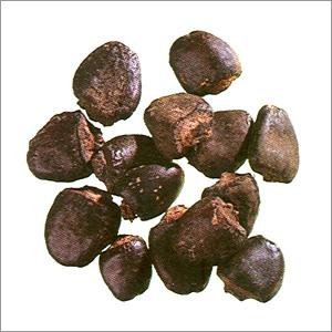 भगवती भिलवावे
