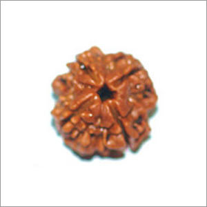 Rudraksha Ratna