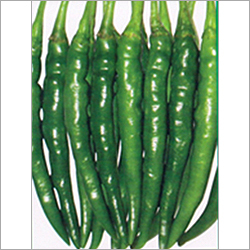 Chilies Seeds