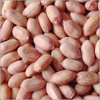 Pink Ground Nuts
