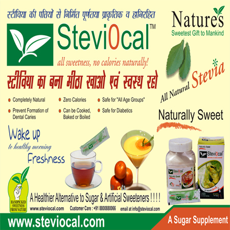 पीवीसी फ्लेक्स साइन बैनर