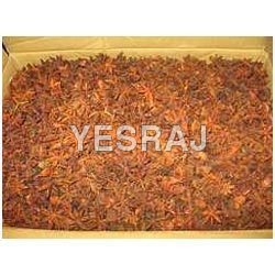 ब्राउन स्टार ऐनीज़ सीड्स