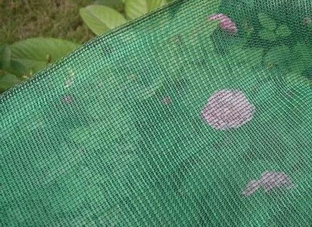 Garden Net - Green Safety Netting | Ideal for Agriculture and Construction Applications