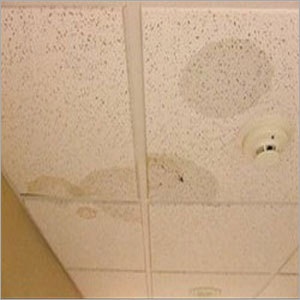 Terrace Leaks Repair Services
