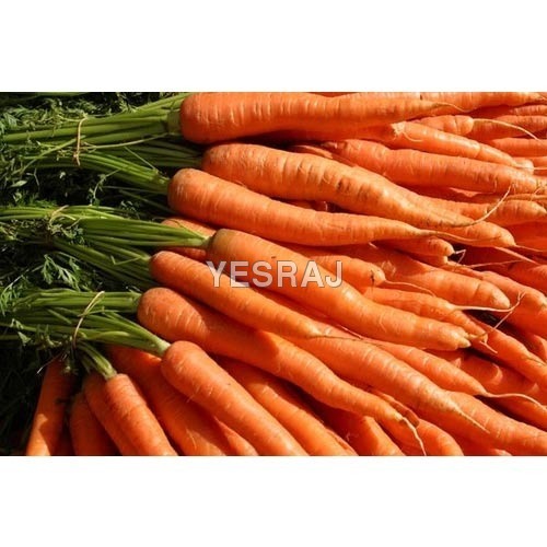 Carrot - Raw, Round & Straight | Shelf Life: 3-4 Weeks, Style: Instant, Rich in Dietary Fibre & Antioxidants