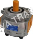 Gear Pumps