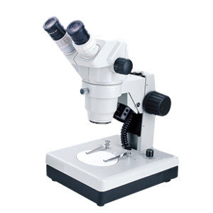 Zoom Stereo Microscope