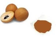 Spray Dried Sapota Powder - Natural Brown Fruit Powder | Sweet Taste, Common Cultivation, Peeled Part, No Added Preservatives or Colors