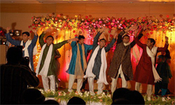 शादी के मनोरंजन योजनाकार