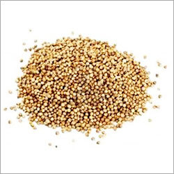 Panch Phoron