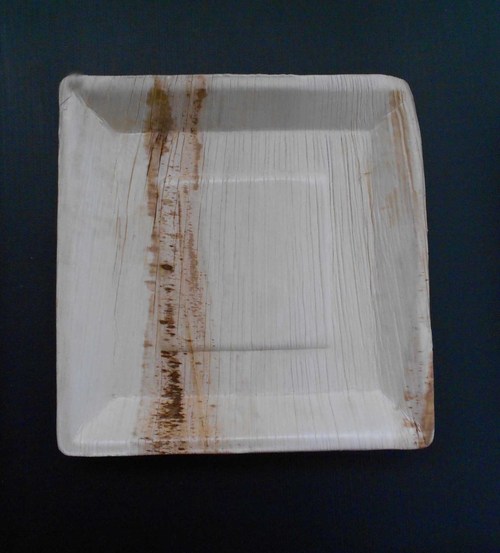 Square Areca Leaf Plates