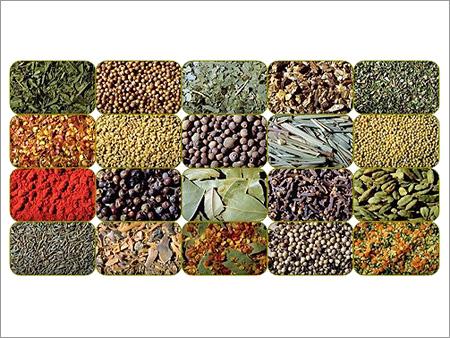 मसाला पाउडर