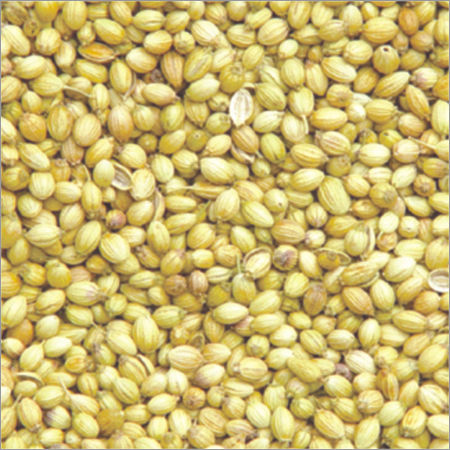 Coriander Seeds