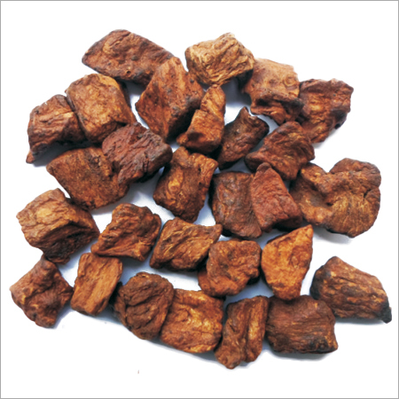 Chicory Cubes
