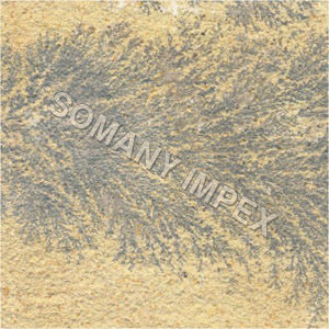 Fossils Sandstone Application: Flooring