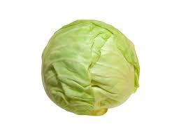 Cabbage