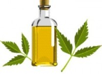 Neem Oil - Age Group: Adults