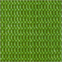 किसी न किसी शीर्ष विशेष प्रयोजन कन्वेयर बेल्ट