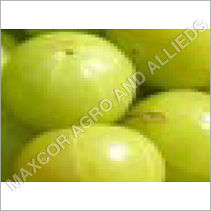 Amla Age Group: For Children