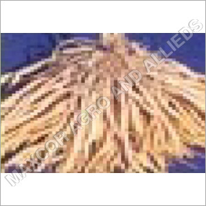 शतावरी शतावरी आयु वर्ग: बच्चों के लिए