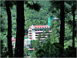 हिमाचल प्रदेश के रेस्तरां
