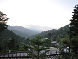 सोलन में नज़ारा होटल