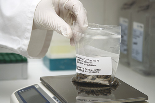 Animal Feeds Testing Service - Comprehensive Analysis Solutions | Nutritional Evaluation, Quality Assurance, Lab Testing Services