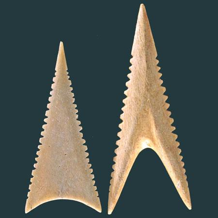 Tooth Points