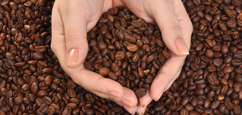 Coffee By-Products Testing Services