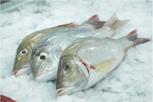 Fishery Products Testing Services