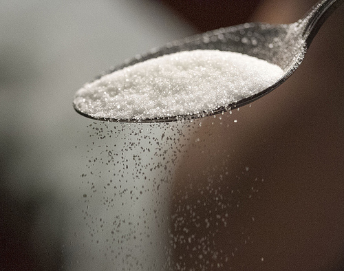 Sugar and By product Testing Services